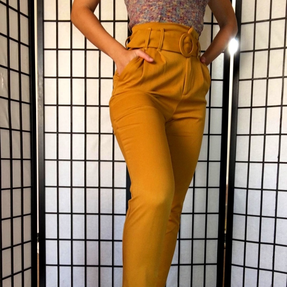 paperboy style Zara pants